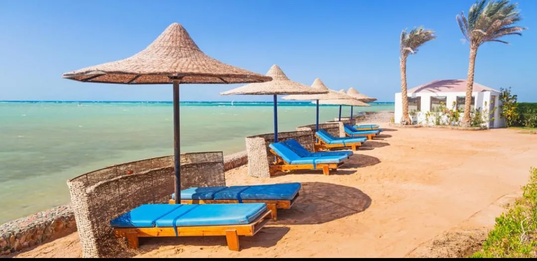 🏖️✨ Zeytouna Beach Day Trip – El Gouna 🌊☀️ Zetouna Beach Day Trip El Gouna /IMG-20260702-WA0105.jpg